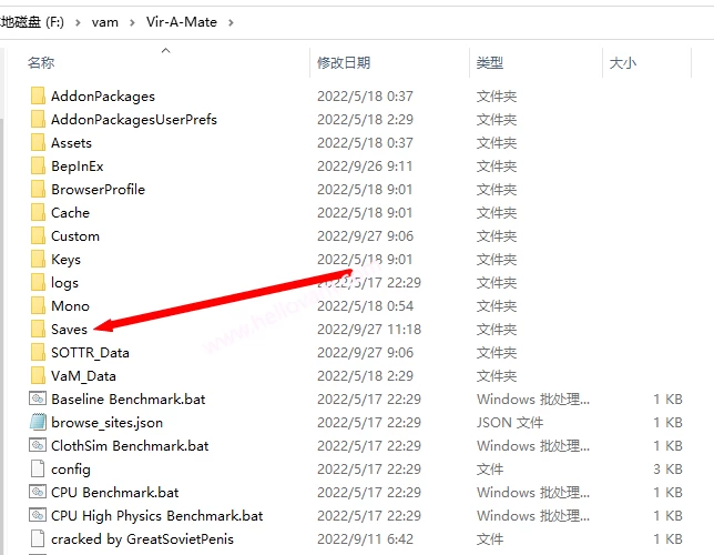 图片[12]-最新版：VAM跳舞插件MMDPlayer 4.3.1破解修复版（适用VAM1.22.0.1本体）-Hellovam资源网